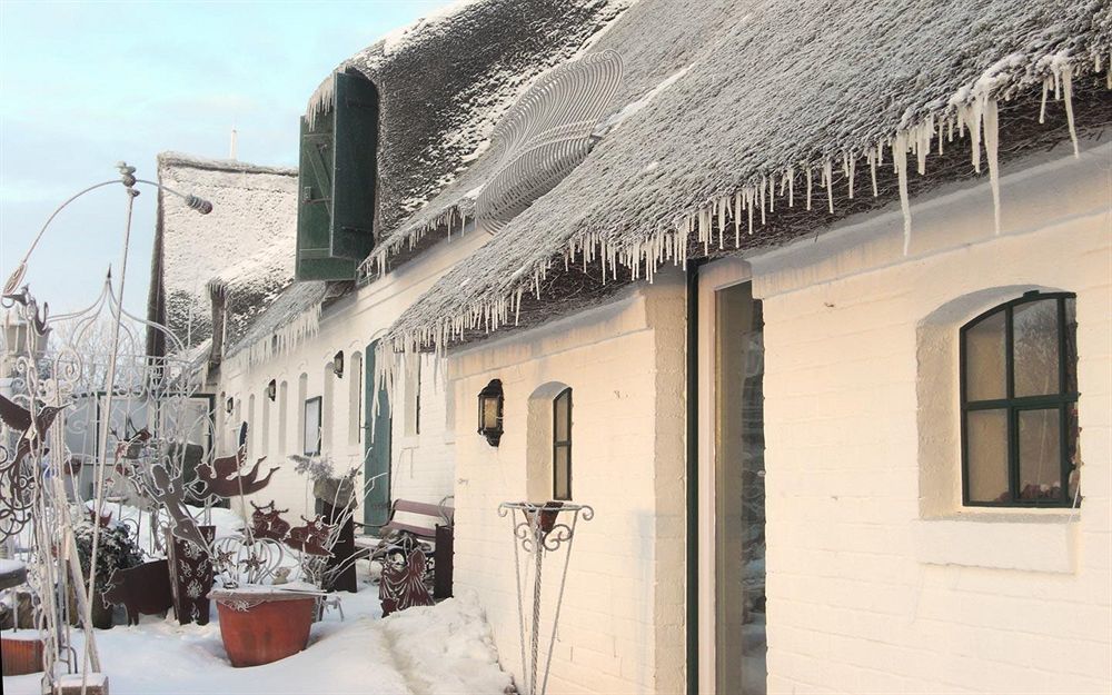 Hotel, Restaurant, Cafe Pharisaeerhof - Nordseeurlaub Mit Hund Nordstrand Exterior foto